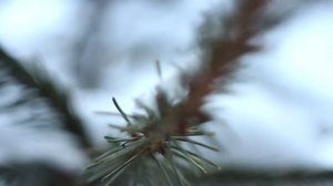 Тест объектива Индустар - 61 Л/Д + Canon 650d