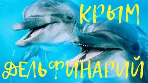 Дельфинарий | Коктебель | Крым