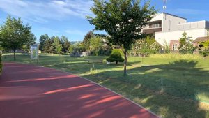 Summer Morning Park Walk in Asahikawa, Hokkaido, Japan | 4K HDR