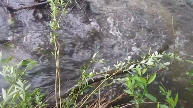 Релаксация. Звуки Воды Для Восстановления Психики (15 минут) смотреть онлайн