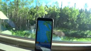 Западная Карелия из окна поезда | Отпуск машиниста