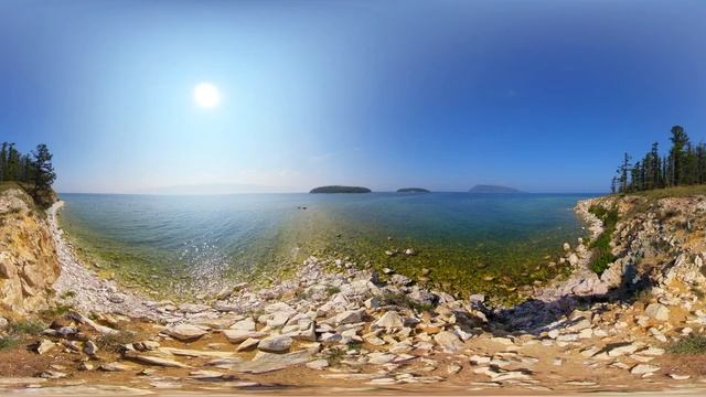 Виртуальное путешествие к Байкальской нерпе смотреть онлайн