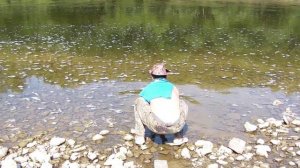 Ловля горбуши на Сахалине