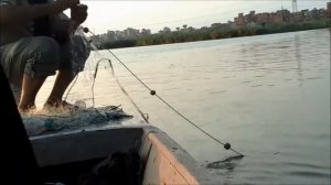 024 Рыбалка на озере Эль Манзала