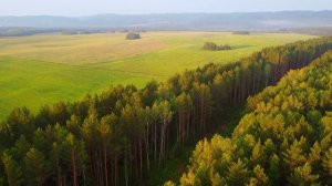 Евангелие светит сквозь тьму - Сергей Дмитриевич
