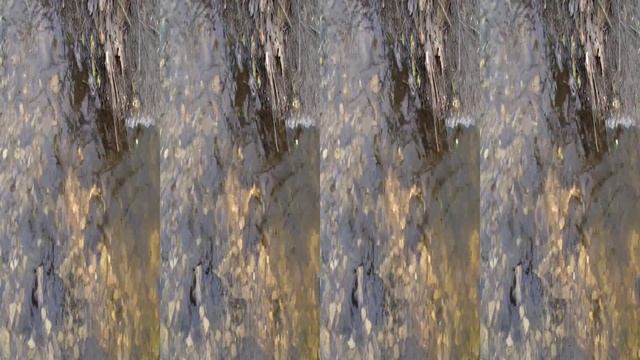 ?? ? Какая она Русская природа. Времена года.