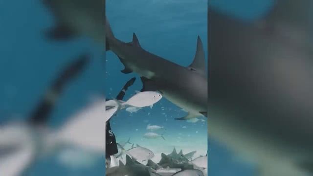 200 НЕВЕРОЯТНЫХ ВЕЩЕЙ, СНЯТЫХ НА КАМЕРУ. ЛУЧШЕЕ ЗА МЕСЯЦ