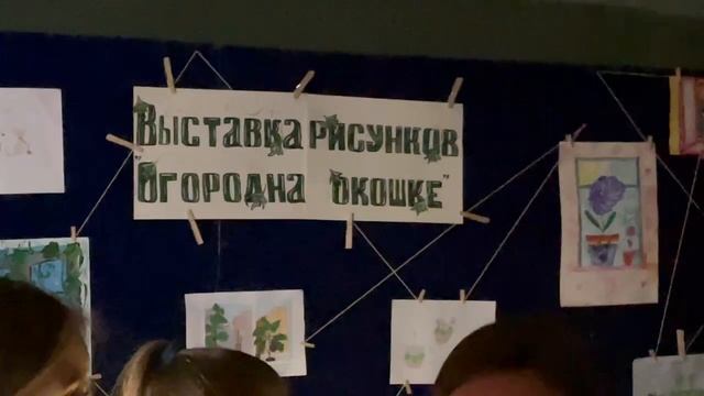 Огород на окошке