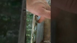 Ремонт котла навьен. Ошибка 10 Невинномысск.