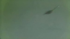 Переднеогруженная вертушка AQUA.