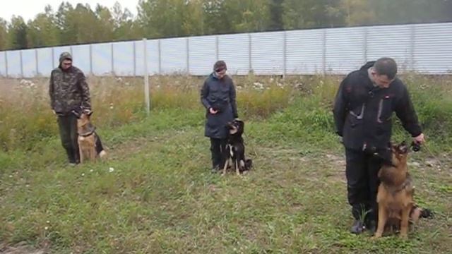 Групповое занятие. Движение назад смотреть онлайн