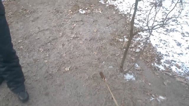 Обзор бюджетного металлоискателя Minelab GO-FIND смотреть онлайн