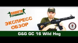 Обзор серии автоматов G&G GC16 Wild Hog