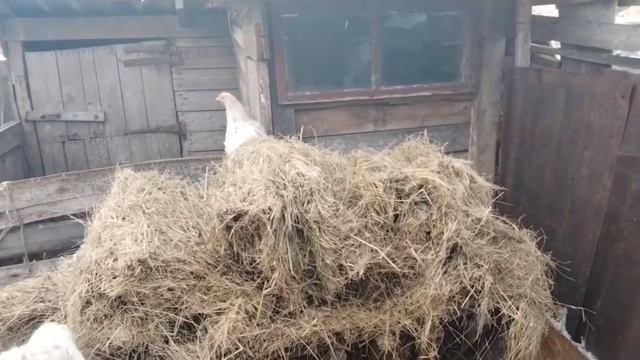 Празднуем Международный Женский день 8 Марта. смотреть онлайн