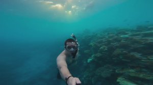 Мальдивы. Промо домашний риф отель Diamonds Thudufushi Maldives home reef promo