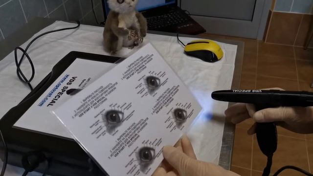 VDS SPECIAL. Распаковка, подключение и работа / VDS SPECIAL. Unpacking, connecting and working смотреть онлайн