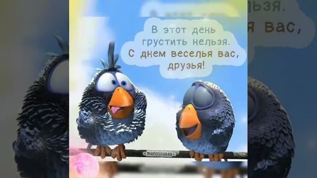 ПРИКОЛЬНОЕ ПОЗДРАВЛЕНИЕ С 1АПРЕЛЯ ОРИГИНАЛЬНОЕ ПОЗДРАВЛЕНИЕ С ДНЁМ СМЕХА ВИДИО ОТКРЫТКИ.