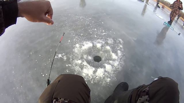 ЗИМНЯЯ РЫБАЛКА 2021. ЛОВЛЯ КРУПНОГО СУДАКА И САЗАНА смотреть онлайн