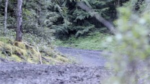 mitsubishi pajero junior - epic rally - jr 4x4