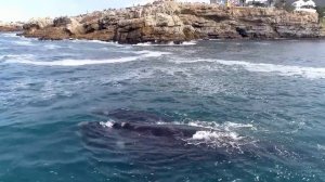 741 Гц, Очищает от инфекций и растворяет токсины, Очищает ауру, укрепляет иммунную систему