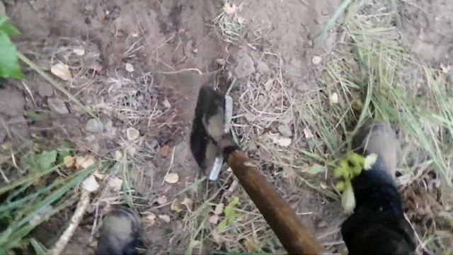 КОП ВДОЛЬ ЖД!МД4030!ЧТО МОЖНО НАЙТИ ВДОЛЬ ЖД!