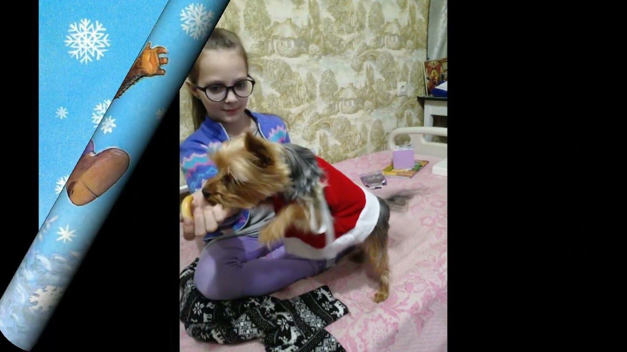 С наступающим новым 2024 годом! смотреть онлайн