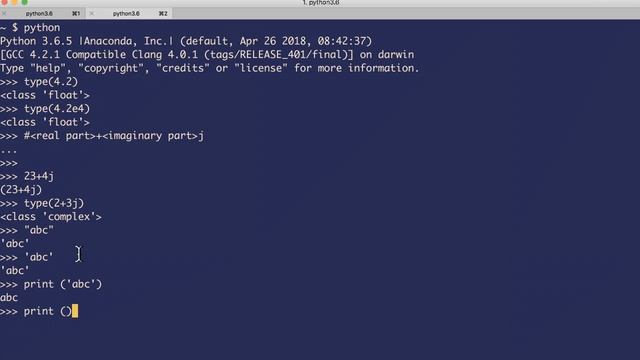 Python 3 - Basic Data Types