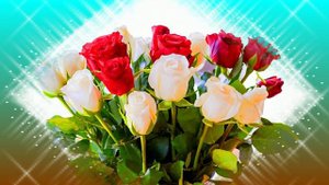 Футаж. Цветочный фон 138
