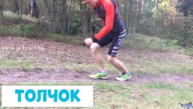 ШАГОВАЯ ИМИТАЦИЯ. ДЛЯ ЛЮБИТЕЛЕЙ И НОВИЧКОВ. ТЕХНИКА И УПРАЖНЕНИЯ.