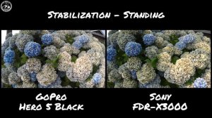 Sony FDR-X3000 vs GoPro Hero 5 Black 4K Video Footage Comparison