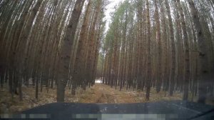 Очень важно! Правила охоты. Охота с собаками