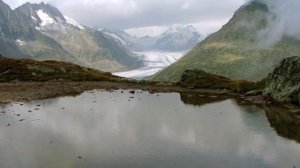 The Fellowship of the Ring Suite by Howard Shore (Koch entertainment)