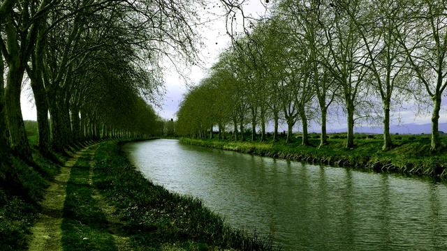 Ai Vist Lo Lop - Occitan Medieval Song смотреть онлайн