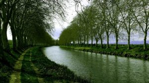 Ai Vist Lo Lop - Occitan Medieval Song