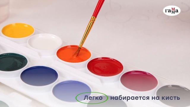 Акварель медовая ГАММА серии «Пчелка» смотреть онлайн