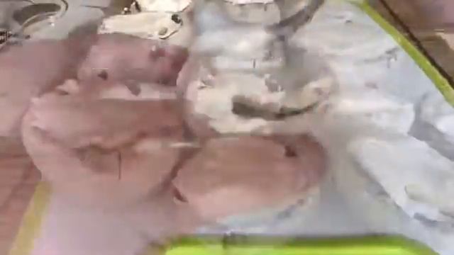 Шляпки шампиньонов под сыром смотреть онлайн