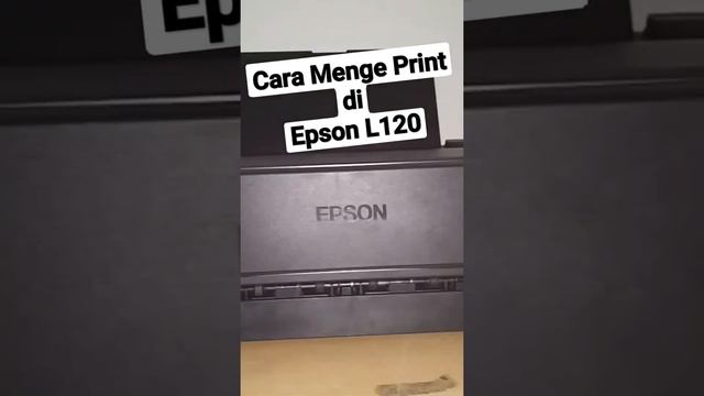 printer epson L120