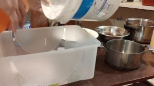 Стратификация орехов и дубов