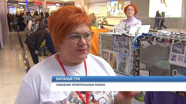 Ориентальная кошка