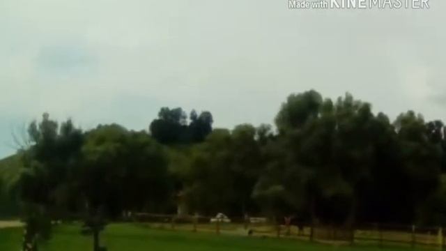 Я на кудыкиной горе смотреть онлайн