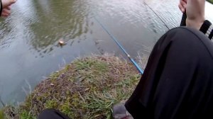 Ловля Карася На Поплавочную Удочку В Собственном Пруду | Пруд Своими Руками