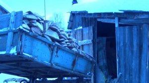 т 16 перевозка дров (горбыля)