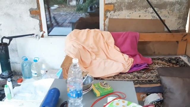 Купили Дом на Юге ? 2 сезон, 9 серия. Жарим шашлык.Три года живем Краснодаре.??? смотреть онлайн