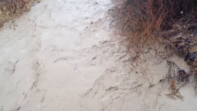 Салгир. Грязная вода и мусор... смотреть онлайн