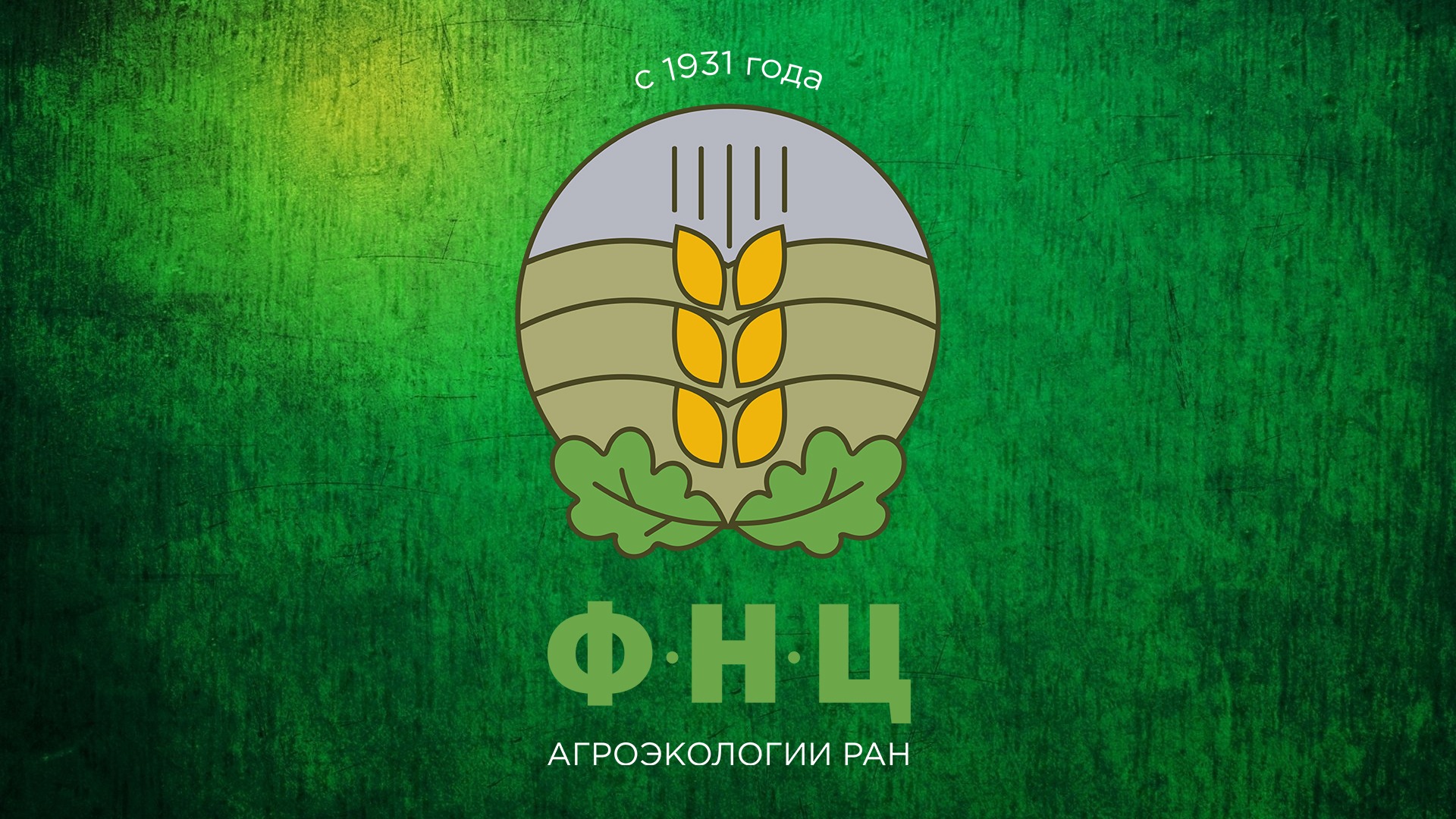 test2 смотреть онлайн