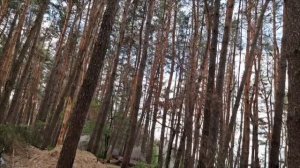 прилёт кассетный боеприпас. хаймарс