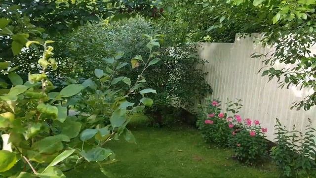 Нагреваю бассейн 30 кубов дровами. Дровяной нагреватель бассейна. Моя летняя дача -4