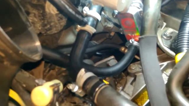 лунфей на альмеру