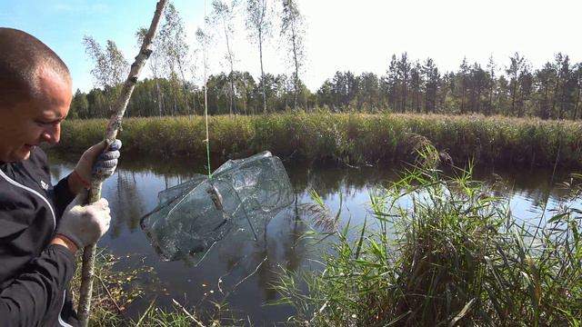 Ловля раков раколовками. Вареные раки смотреть онлайн
