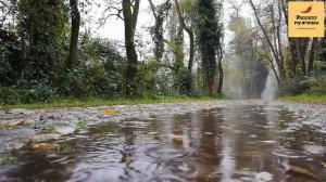 Рассказ мужчины | Измена жены. Разоблачение неверной жены и развод